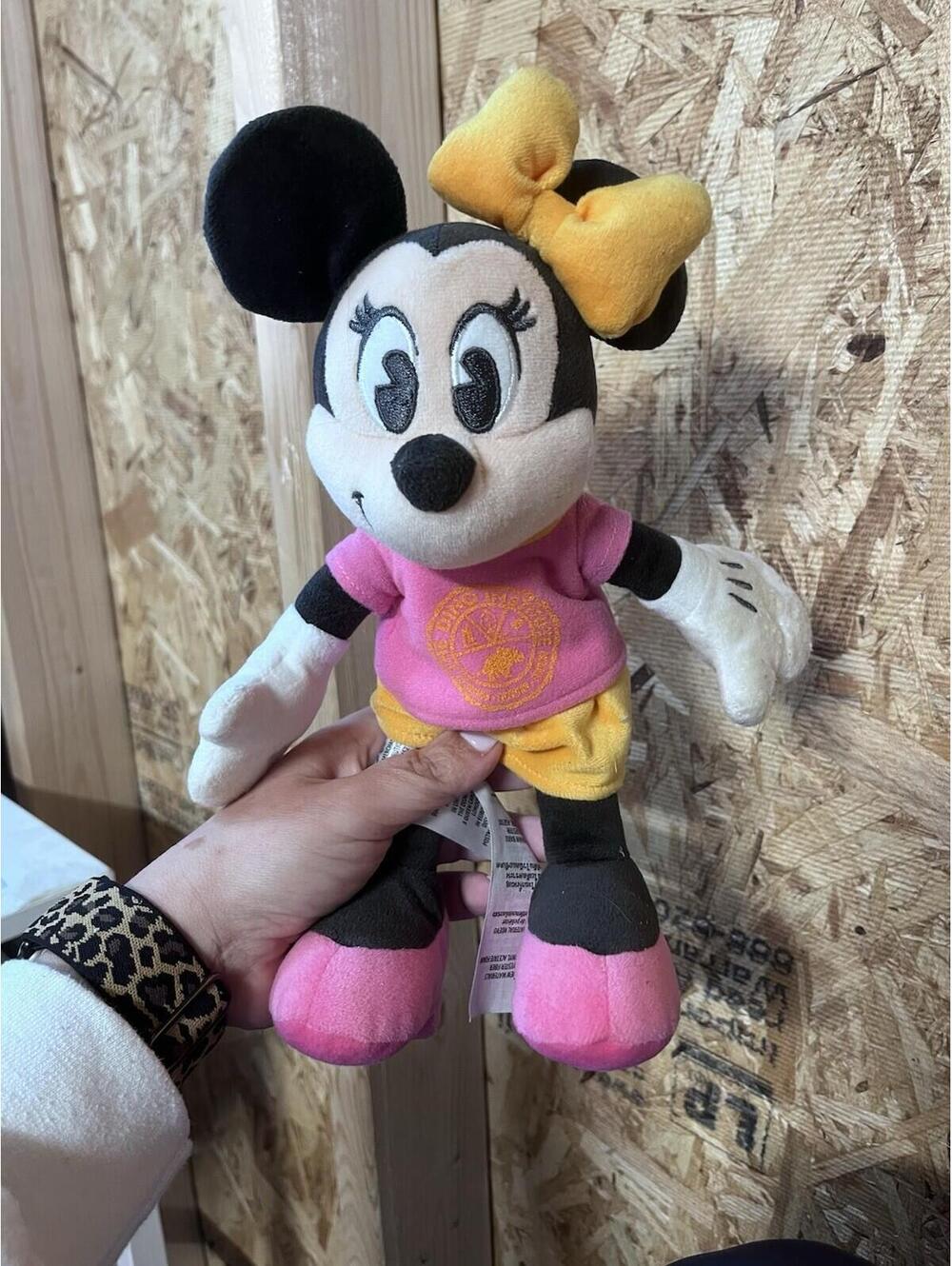 Disney Animal Kingdom Dino Institute Minnie Plush Dinoland USA Parks - 10